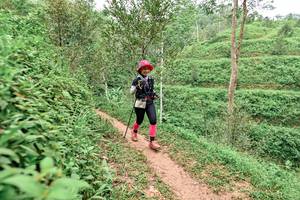 BIB: 
                            <button type="button" onclick="openModal(24878866)" class="btn btn-primary btn-sm float-right btn-popup" data-toggle="modal" data-target=".modal-high-quality">
                        <i class="fas fa-shopping-cart"></i> Add to Cart
                    </button>
                                            <button type="button" onclick="isThisMe(24878866, true)" class="btn btn-success btn-sm float-right btn-popup btn-isme hidden" data-toggle="tooltip" data-placement="bottom" title="นี่คือรูปของคุณใช่ไหม คลิกที่นี่เพื่อเอาเข้าอัลบั้ม">
                        <i class="fas fa-plus"></i> Add to album
                    </button>
                    <button type="button" onclick="isThisMe(24878866, false)" class="btn btn-warning btn-sm float-right btn-popup btn-isnotme hidden">
                        <i class="fas fa-ban"></i> Remove from album
                    </button>